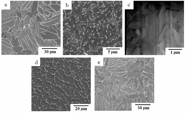 Sintered Metal Powder | NAVI Titanium Sintered Metal Powder | NAVI Titanium